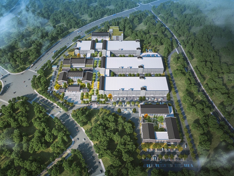 以“廣咨方案”繪就廣西縣域經濟活力迸發(fā)生動圖景